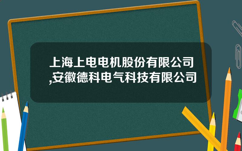 上海上电电机股份有限公司,安徽德科电气科技有限公司