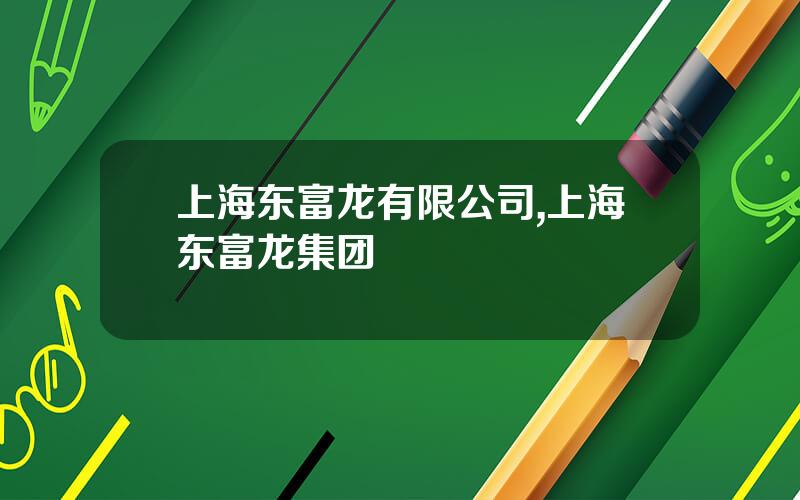 上海东富龙有限公司,上海东富龙集团