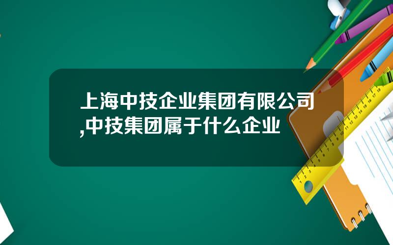 上海中技企业集团有限公司,中技集团属于什么企业