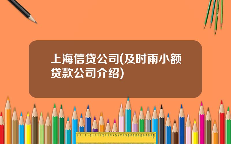 上海信贷公司(及时雨小额贷款公司介绍)