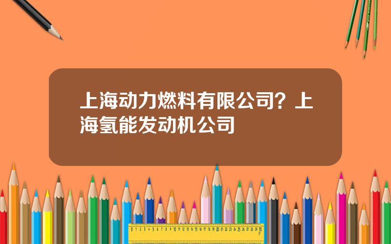 上海动力燃料有限公司？上海氢能发动机公司