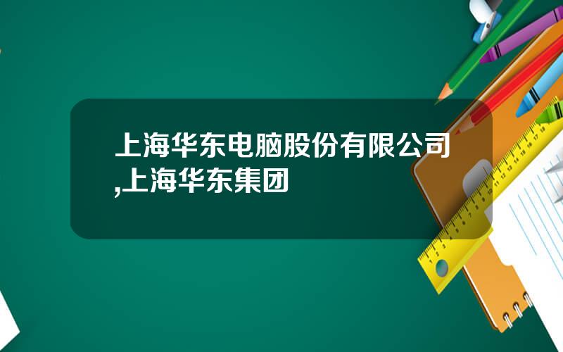 上海华东电脑股份有限公司,上海华东集团