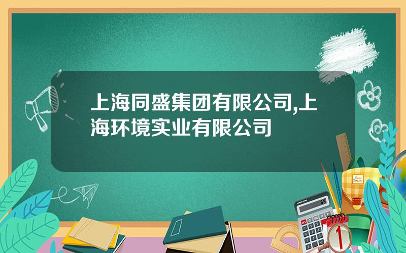 上海同盛集团有限公司,上海环境实业有限公司