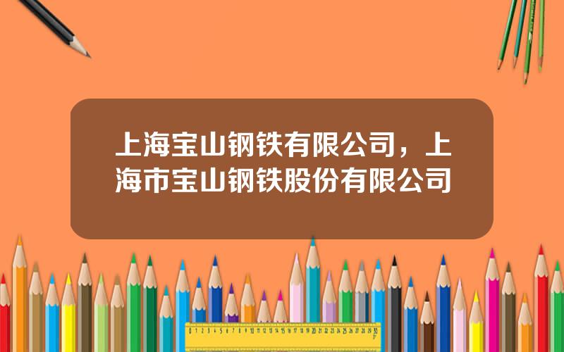 上海宝山钢铁有限公司，上海市宝山钢铁股份有限公司