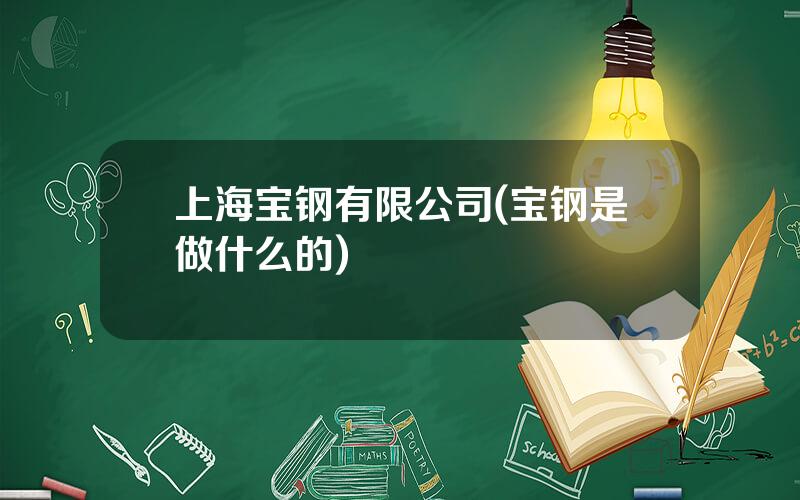 上海宝钢有限公司(宝钢是做什么的)