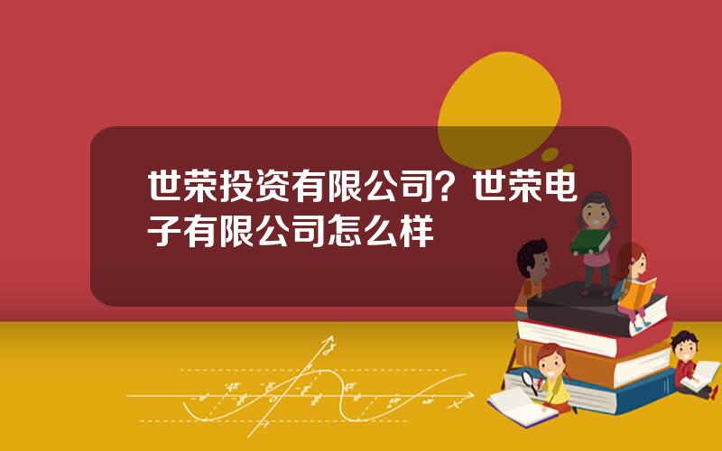世荣投资有限公司？世荣电子有限公司怎么样