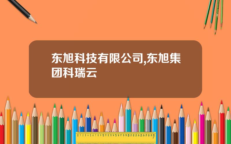 东旭科技有限公司,东旭集团科瑞云