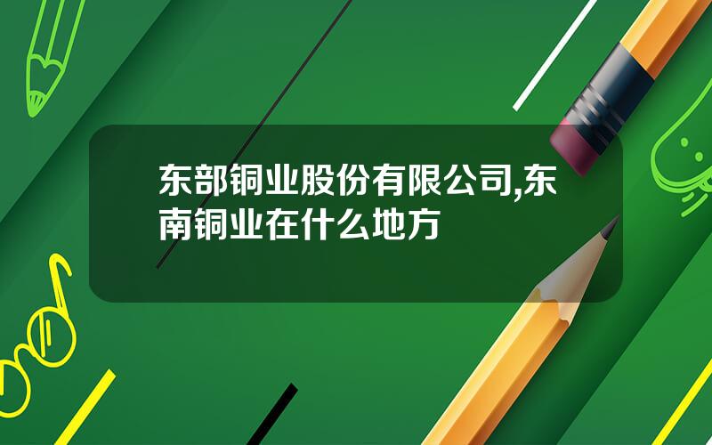 东部铜业股份有限公司,东南铜业在什么地方