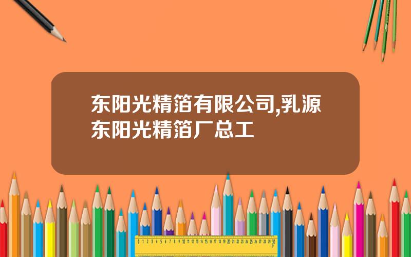 东阳光精箔有限公司,乳源东阳光精箔厂总工