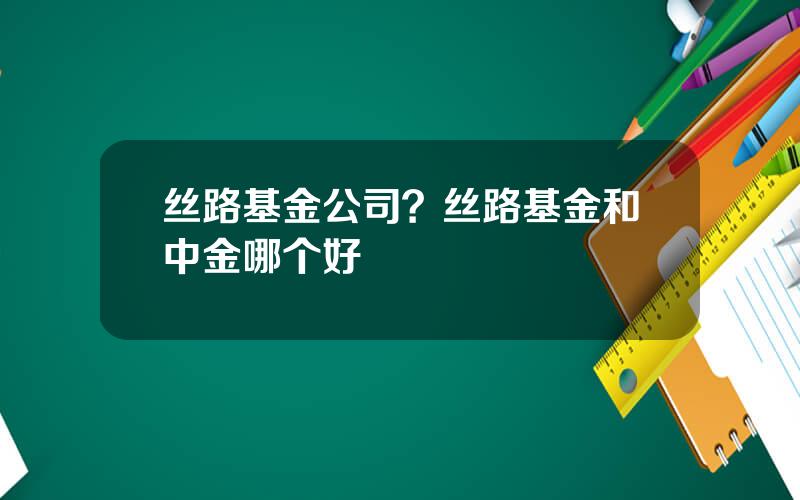 丝路基金公司？丝路基金和中金哪个好