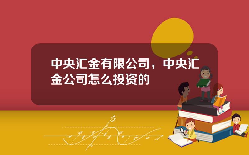 中央汇金有限公司，中央汇金公司怎么投资的