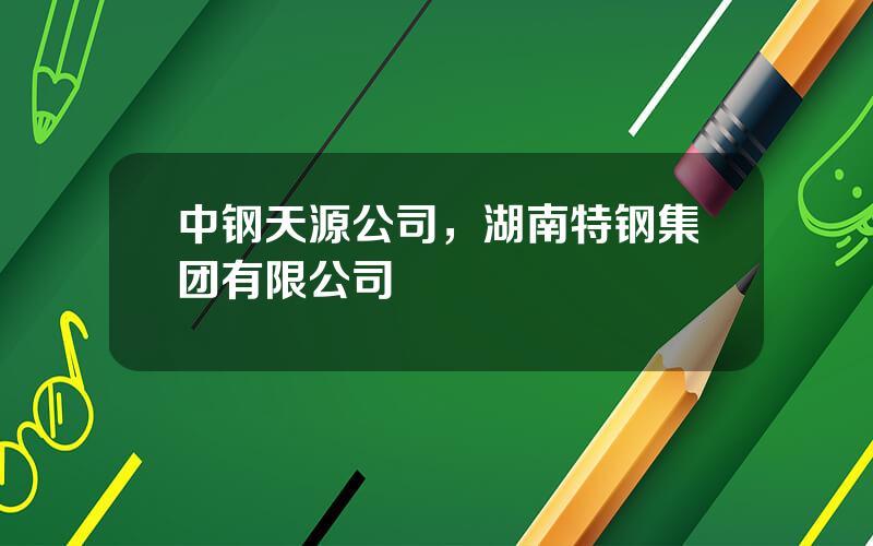 中钢天源公司，湖南特钢集团有限公司