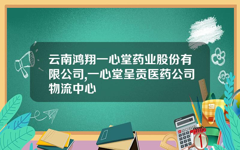 云南鸿翔一心堂药业股份有限公司,一心堂呈贡医药公司物流中心