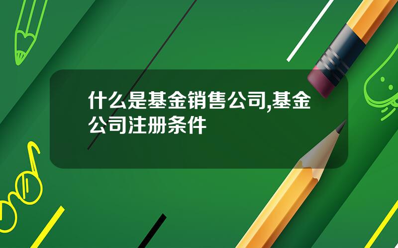 什么是基金销售公司,基金公司注册条件