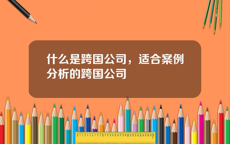 什么是跨国公司，适合案例分析的跨国公司