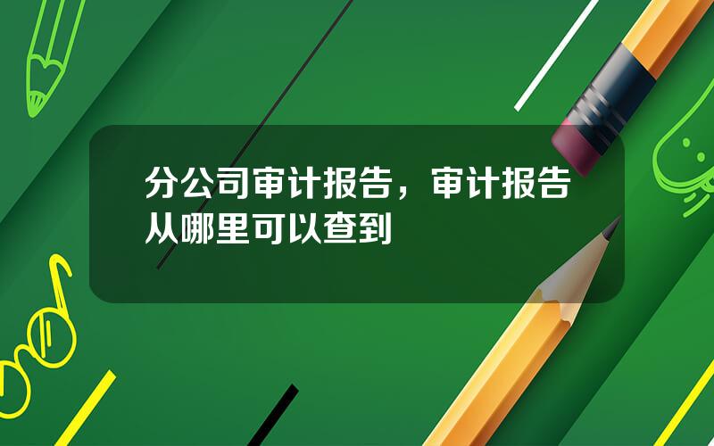 分公司审计报告，审计报告从哪里可以查到