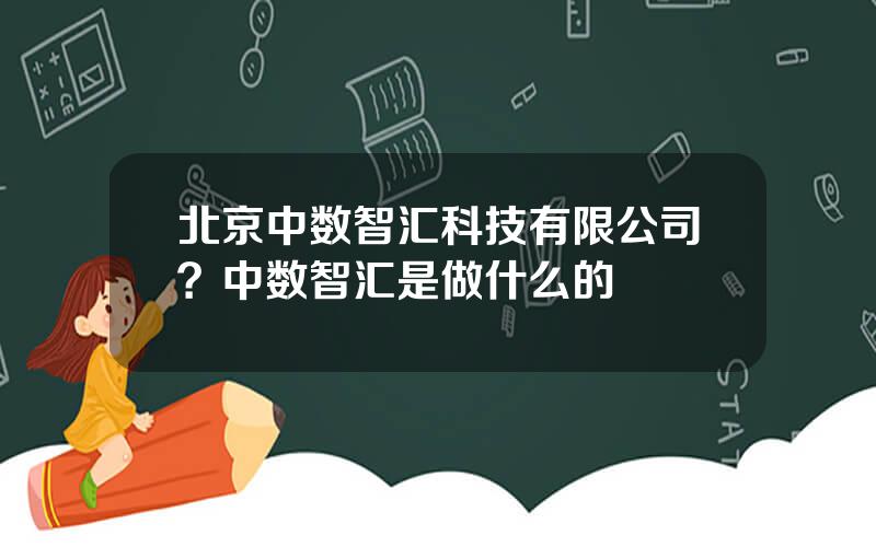 北京中数智汇科技有限公司？中数智汇是做什么的