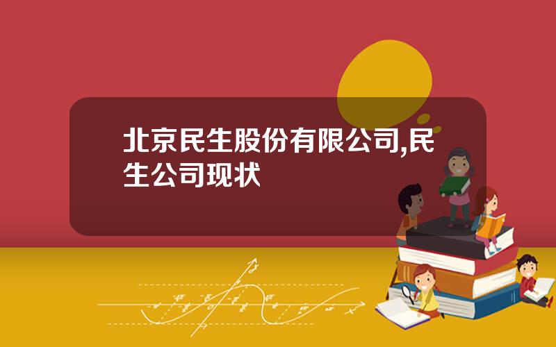 北京民生股份有限公司,民生公司现状