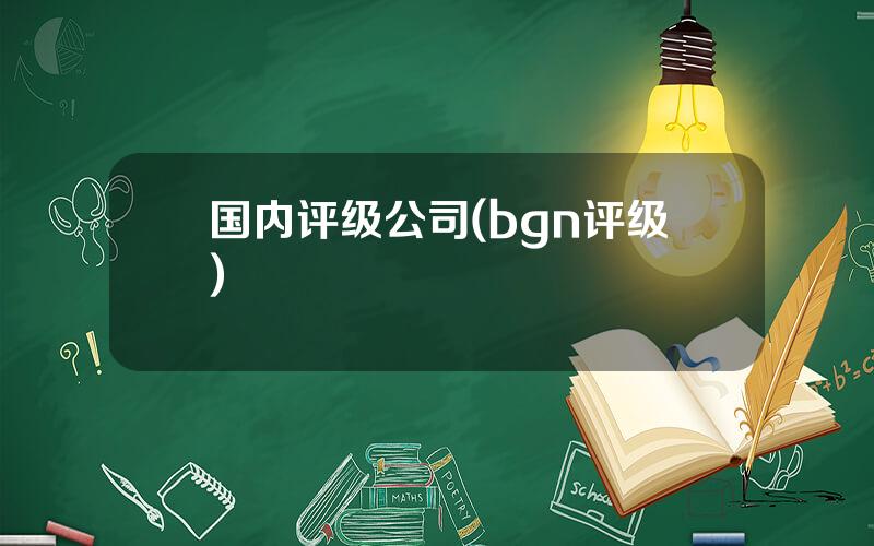 国内评级公司(bgn评级)