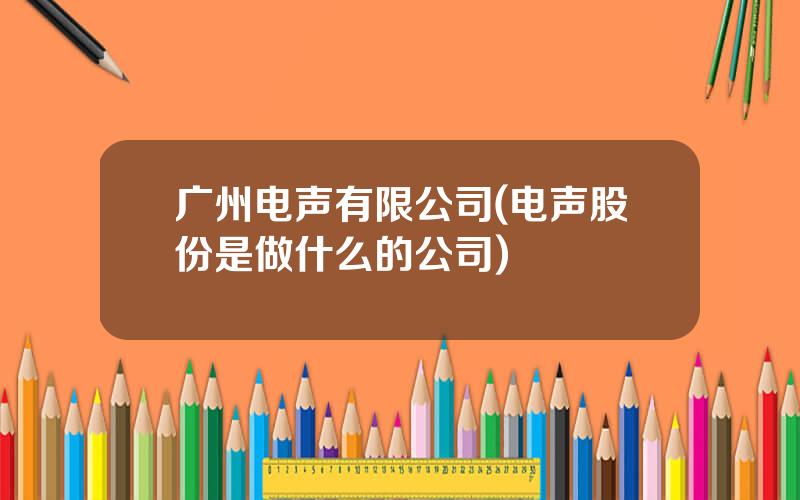 广州电声有限公司(电声股份是做什么的公司)