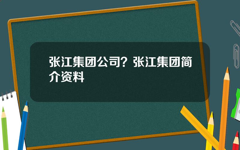 张江集团公司？张江集团简介资料