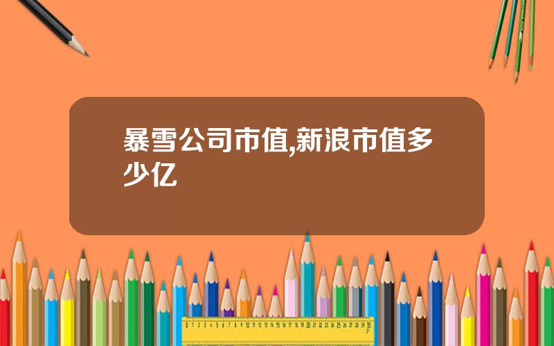 暴雪公司市值,新浪市值多少亿