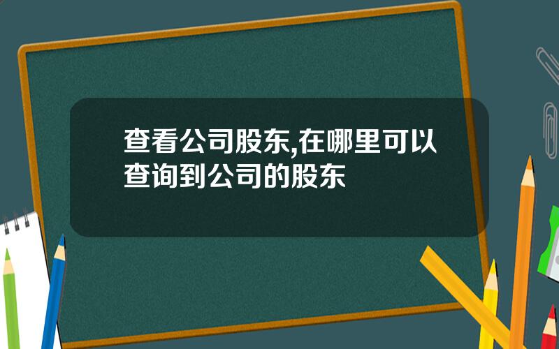 查看公司股东,在哪里可以查询到公司的股东